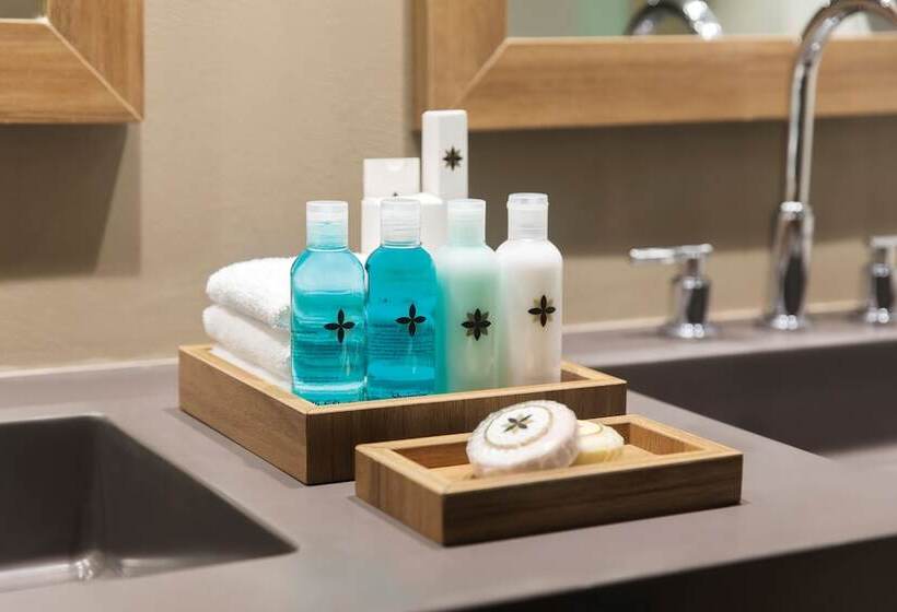 酒店 Excellence El Carmen Adults Only All Inclusive