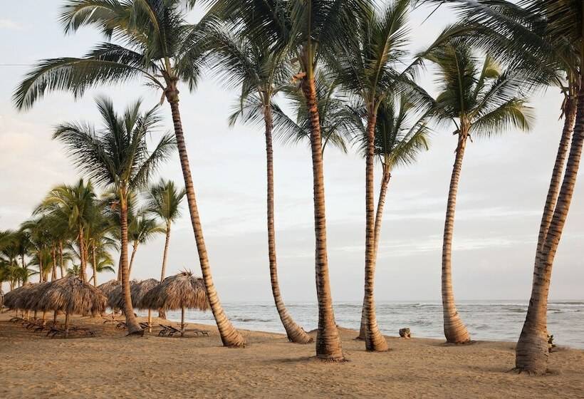 ホテル Excellence El Carmen  Adults Only  All Inclusive