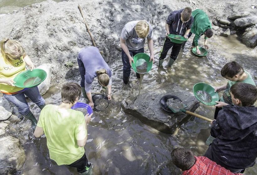 هتل Gasthof Andrelwirt Rauris