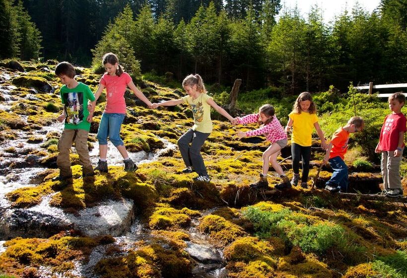 هتل Gasthof Andrelwirt Rauris