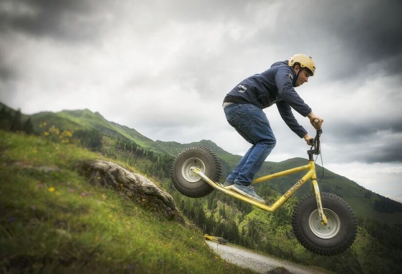 هتل Gasthof Andrelwirt Rauris