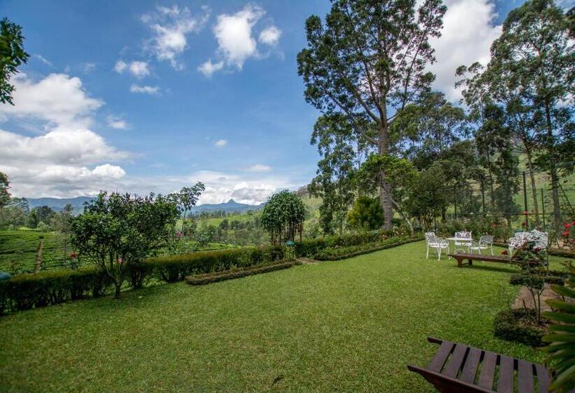 Отель Governor's Mansion