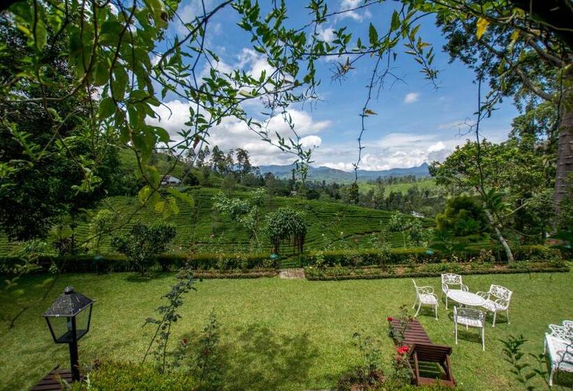 Отель Governor's Mansion