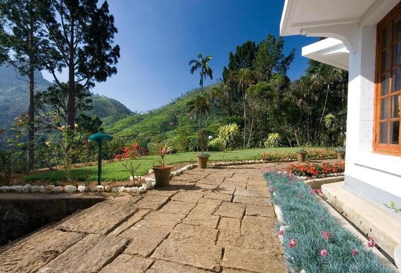 Отель Governor's Mansion