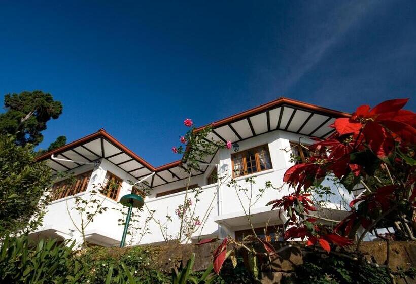 Отель Governor's Mansion