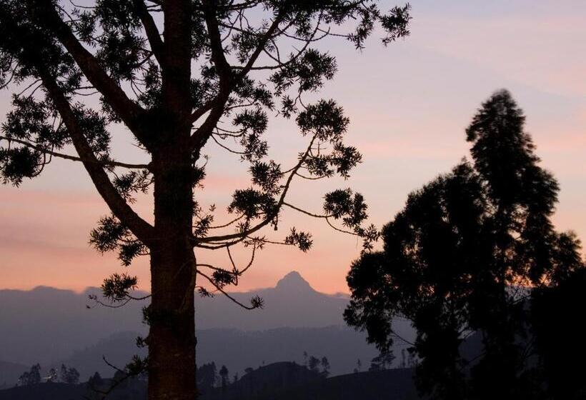 Отель Governor's Mansion