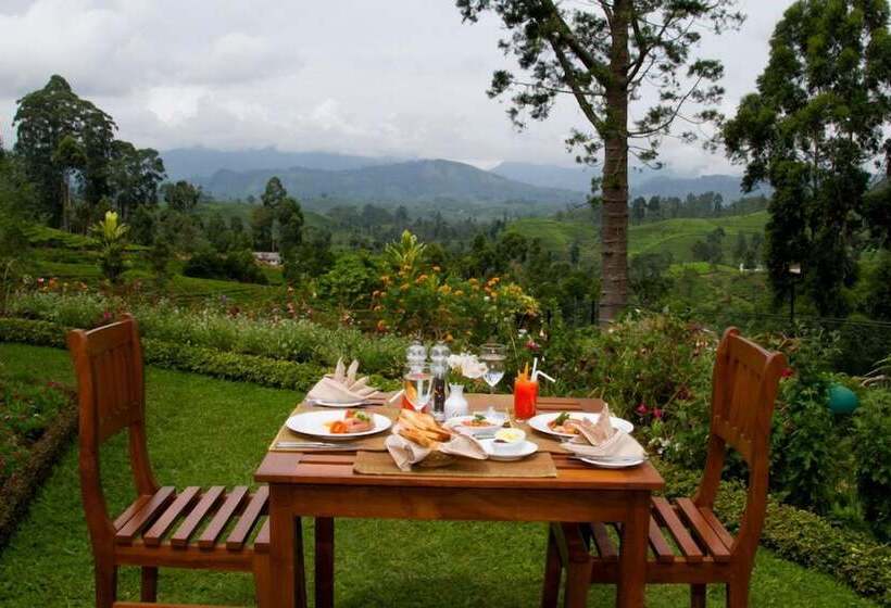 Отель Governor's Mansion