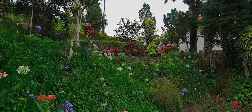 Отель Governor's Mansion