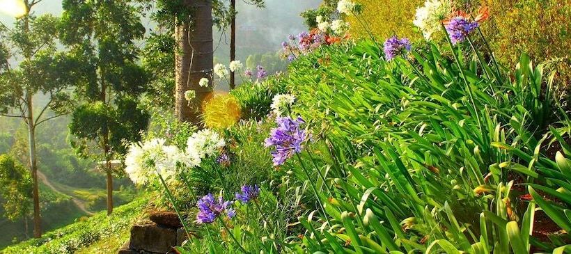 Отель Governor's Mansion