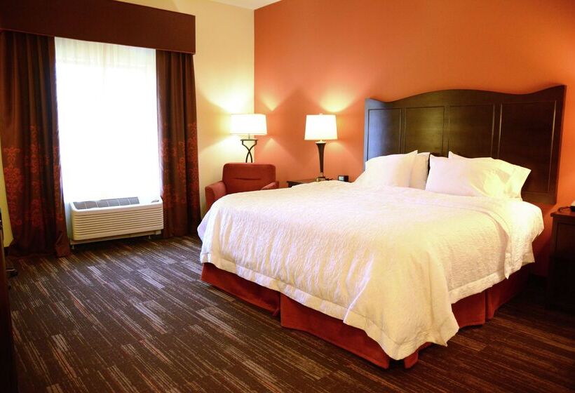 ホテル Hampton Inn Poplar Bluff