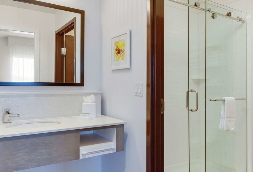 فندق Hampton Inn & Suites Deland