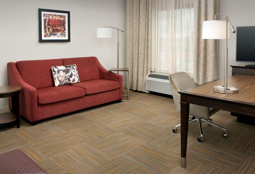 هتل Hampton Inn & Suites Phoenix Tempe