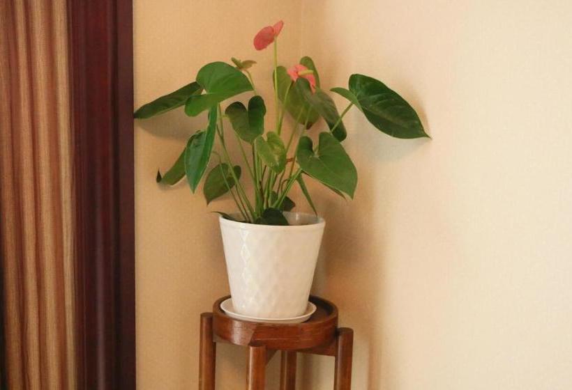 فندق Harbour Oriental