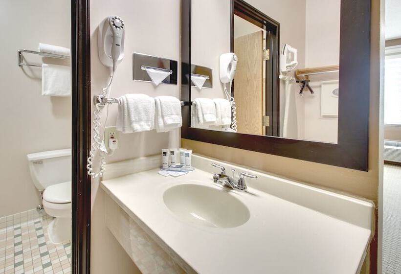 호텔 Hollywood Casino Joliet