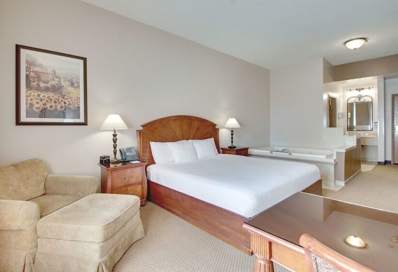 호텔 Hollywood Casino Joliet