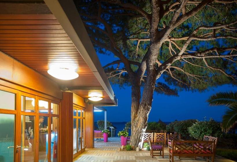 هتل Hôtel & Lodges Moby Dick