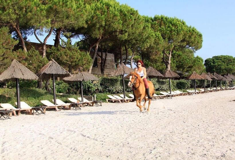 هتل Hôtel & Lodges Moby Dick