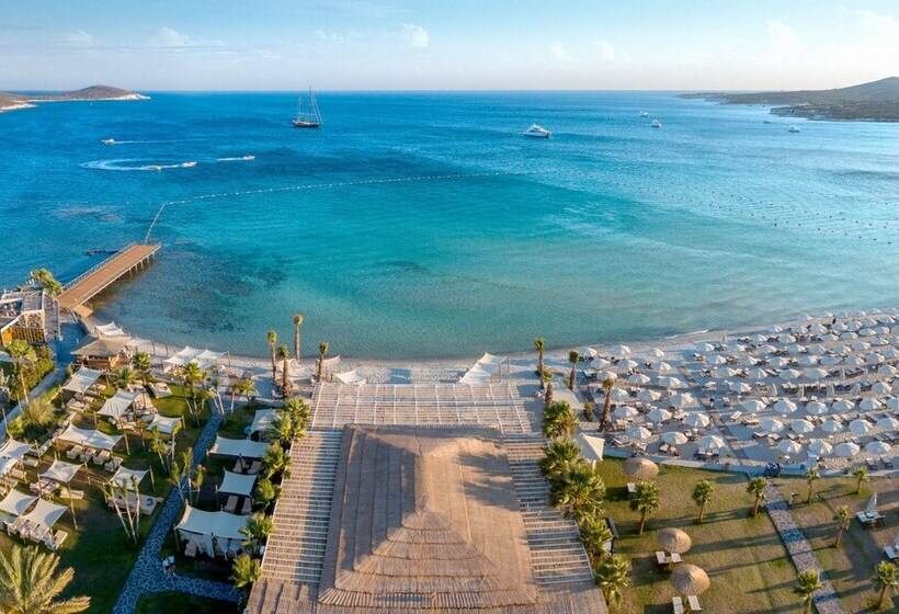 فندق Alaçatı Beach Resort