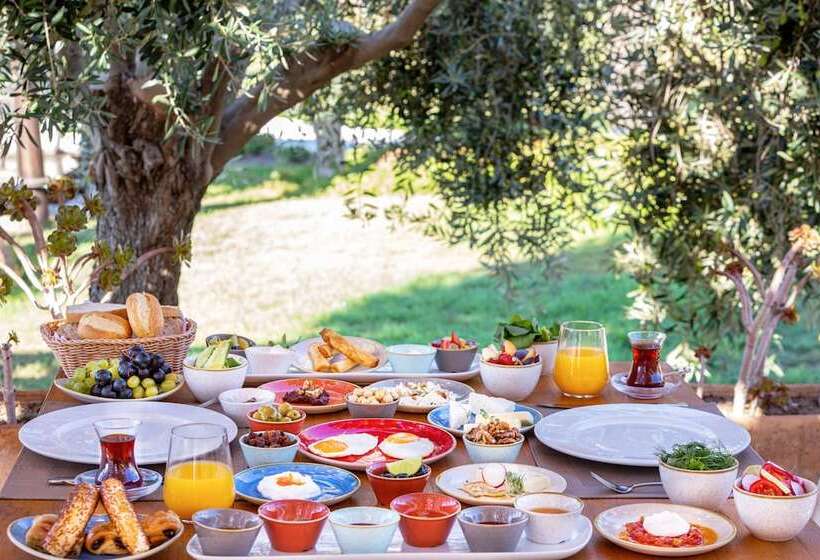 هتل Alaçatı Beach Resort