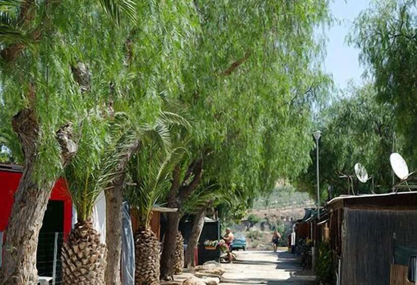 酒店 Kamemi Village & Camping