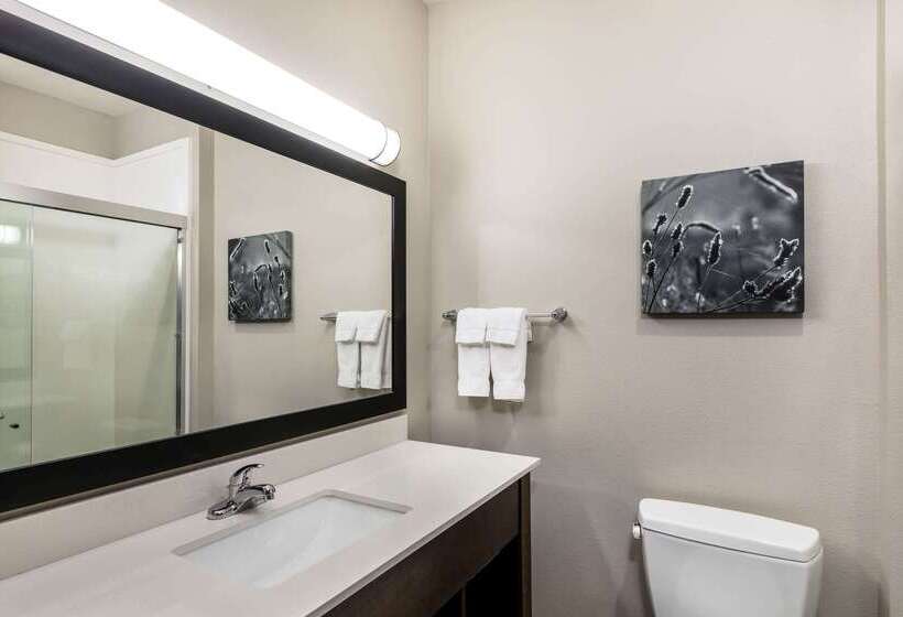 فندق La Quinta By Wyndham Claremore
