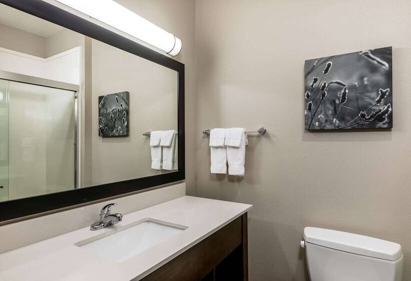 فندق La Quinta By Wyndham Claremore