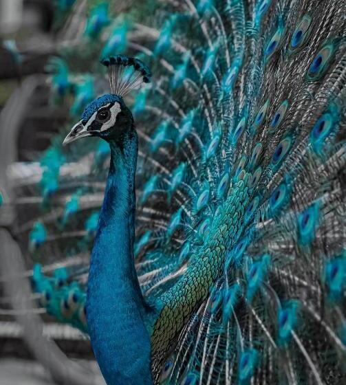 هتل Les Hameaux De L Orient