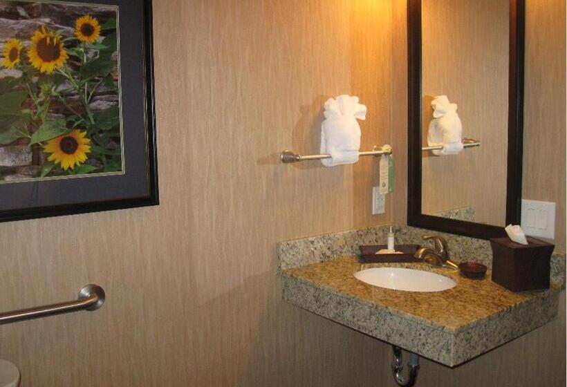 בית מלון כפרי Little Missouri Inn & Suites Watford City