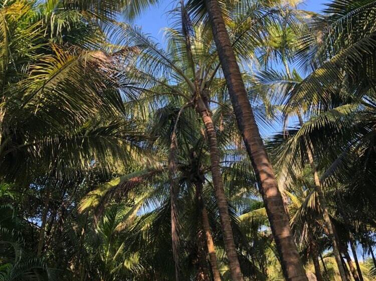 בית מלון כפרי Mango Farm House Awas