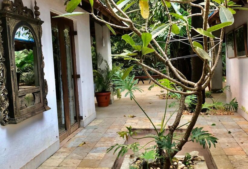 בית מלון כפרי Mango Farm House Awas