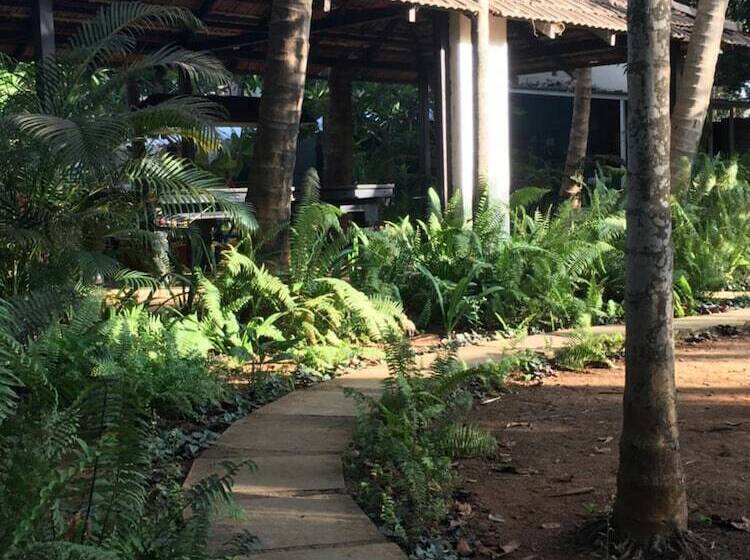 בית מלון כפרי Mango Farm House Awas