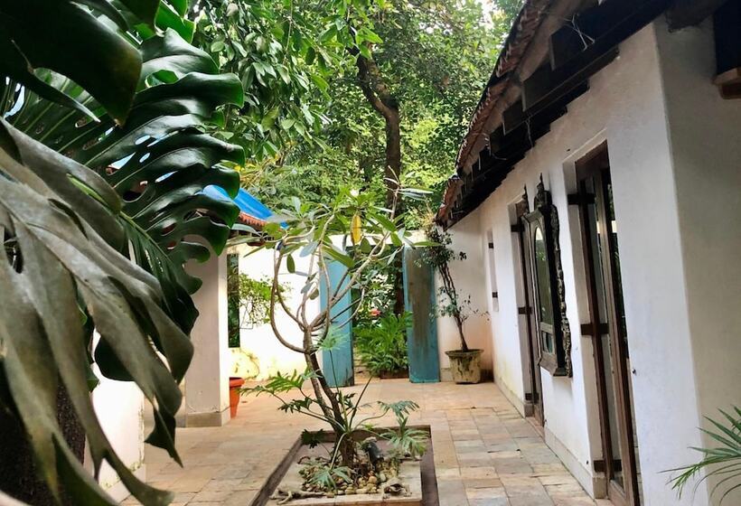 בית מלון כפרי Mango Farm House Awas