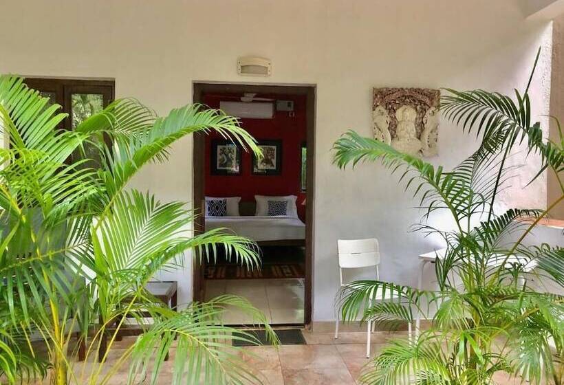 בית מלון כפרי Mango Farm House Awas