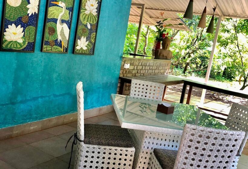 בית מלון כפרי Mango Farm House Awas