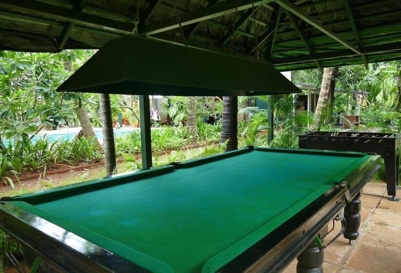 בית מלון כפרי Mango Farm House Awas