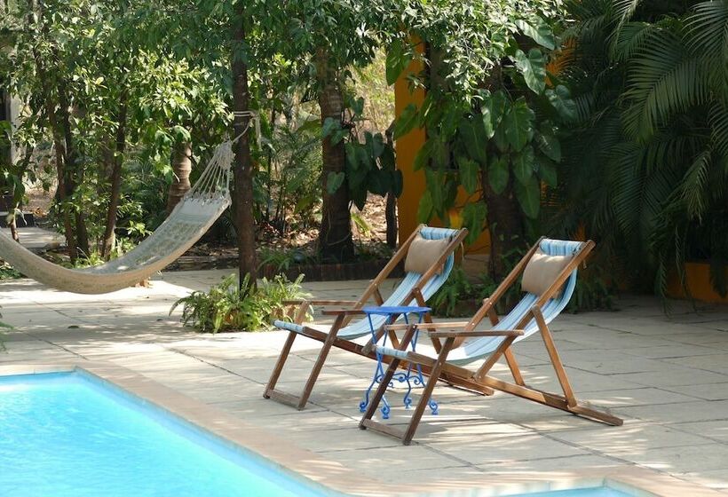 בית מלון כפרי Mango Farm House Awas