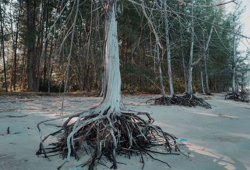 ホテル Na Vela Village Adults Only