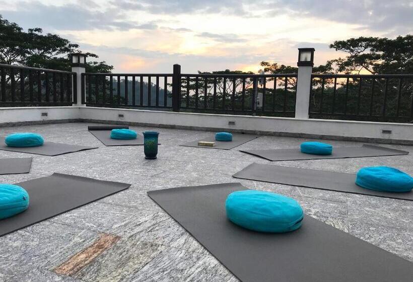 Отель Niyagama House