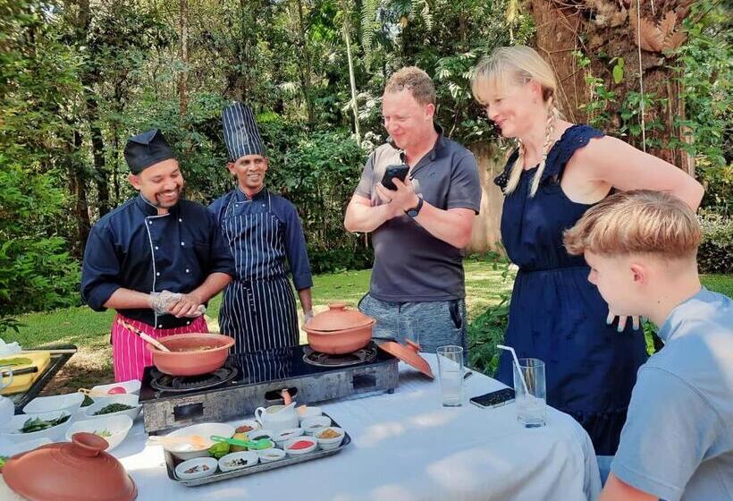 ホテル Palmstone Retreat