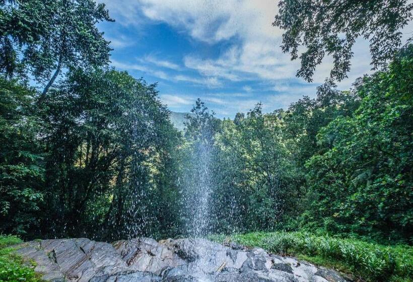 ホテル Palmstone Retreat