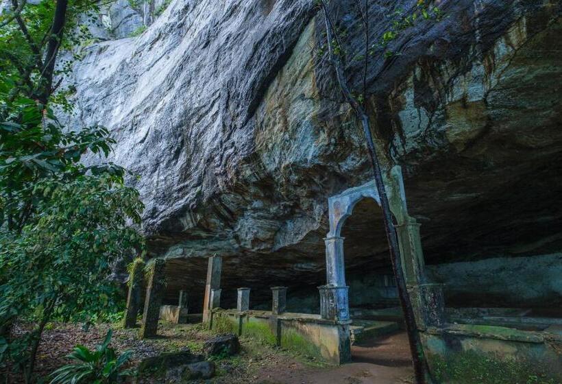 ホテル Palmstone Retreat