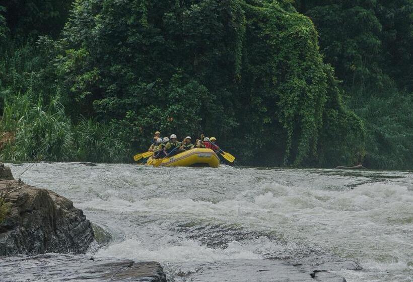 ホテル Palmstone Retreat