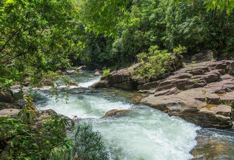 ホテル Palmstone Retreat