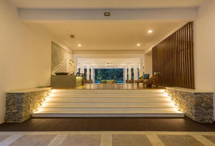 ホテル Palmstone Retreat