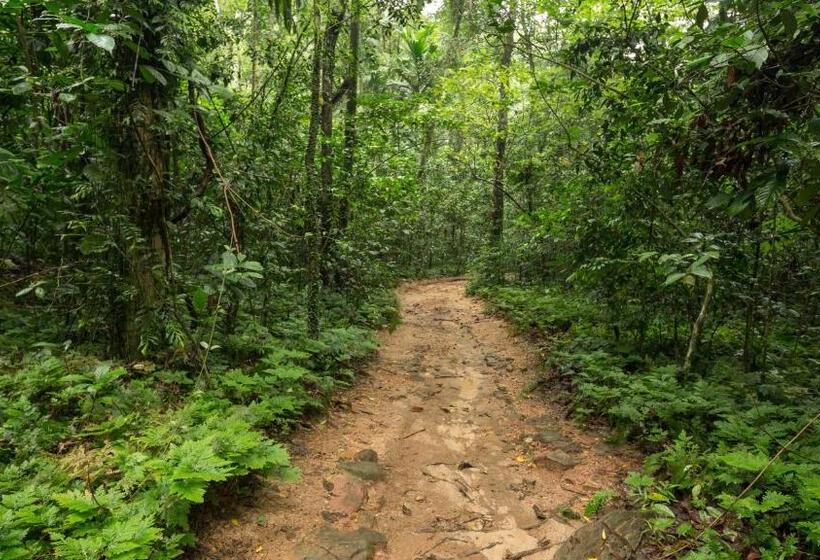 ホテル Palmstone Retreat