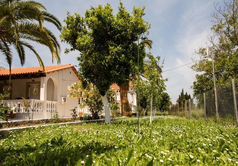 فندق Paradise Village