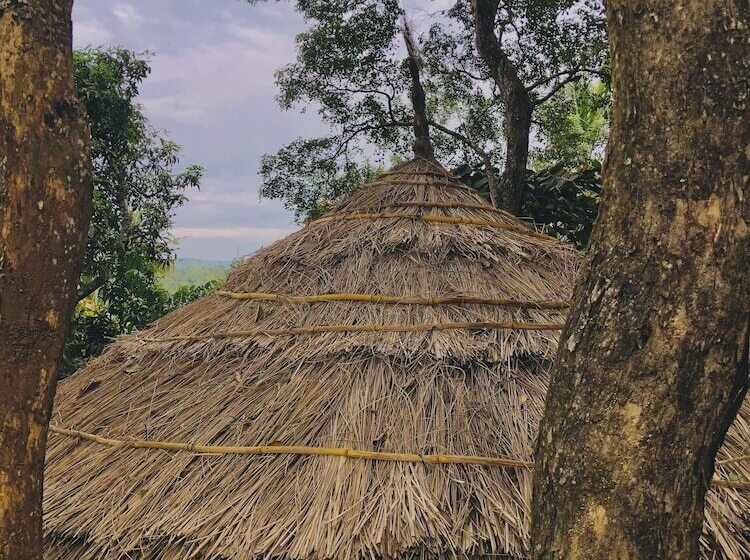 Отель Punarjani Ayurvedic Resorts