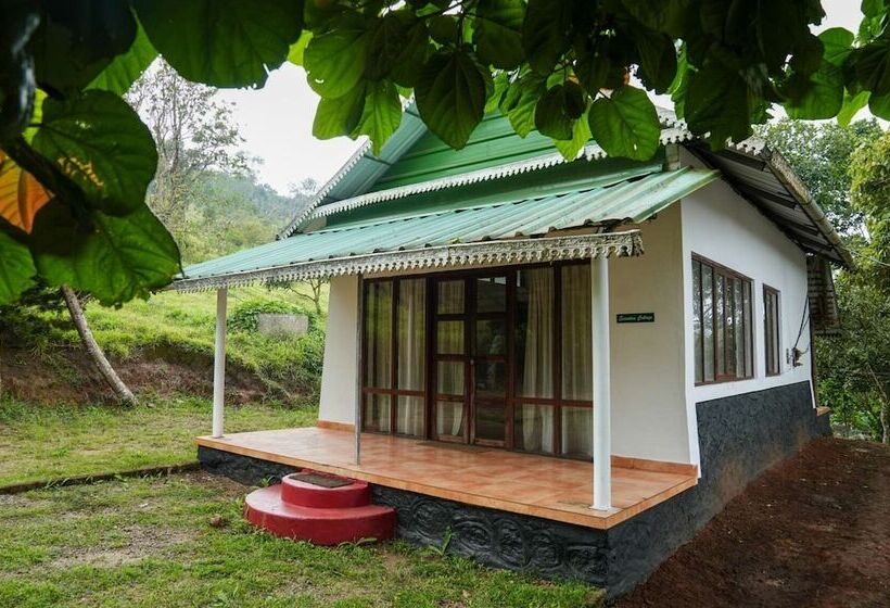 Отель Punarjani Ayurvedic Resorts