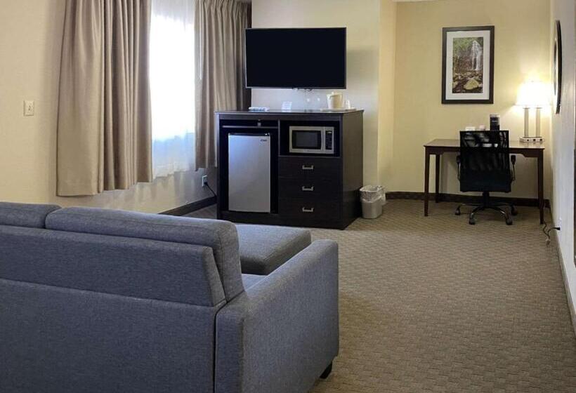 Отель Quality Inn