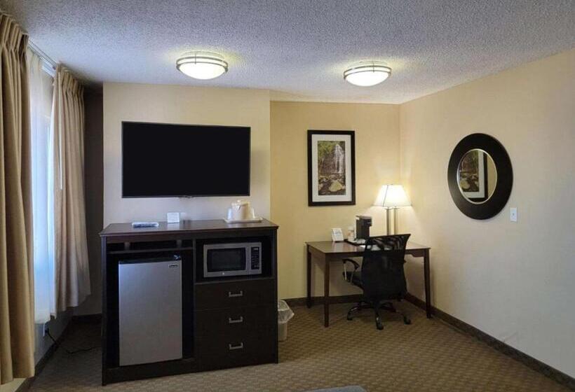 Отель Quality Inn